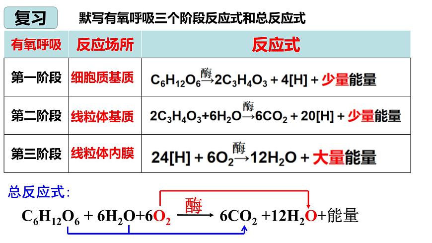 5.3細(xì)胞呼吸的原理與應(yīng)用 （第2課時(shí))課件PPT第2頁