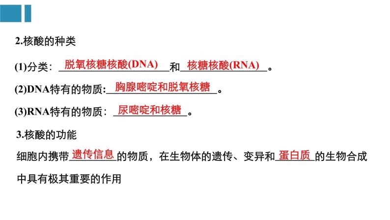 高中生物《第4讲细胞中的核酸、糖类和脂质》课件04