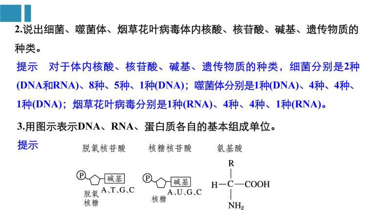 高中生物《第4讲细胞中的核酸、糖类和脂质》课件07