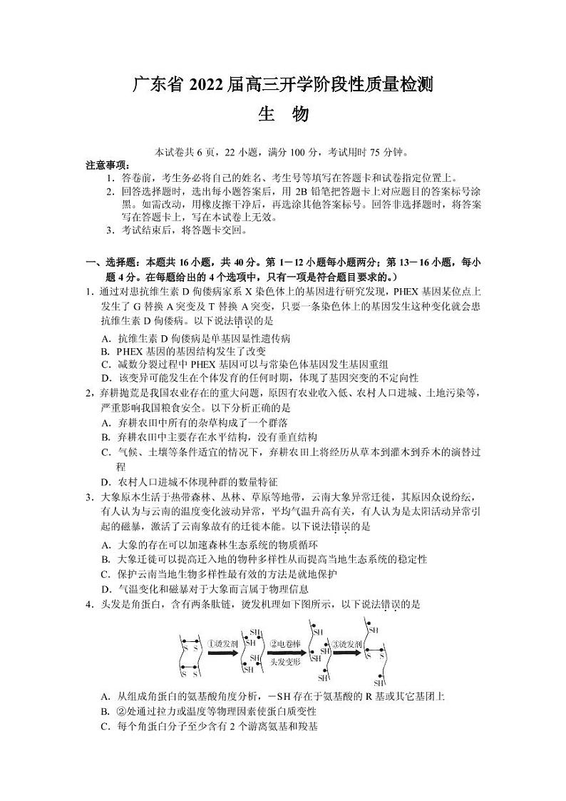 2022届广东省高三上学期开学阶段性质量检测生物试题 PDF版第1页