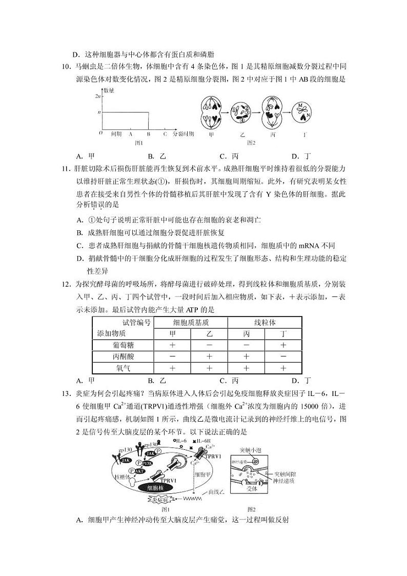 2022届广东省高三上学期开学阶段性质量检测生物试题 PDF版第3页