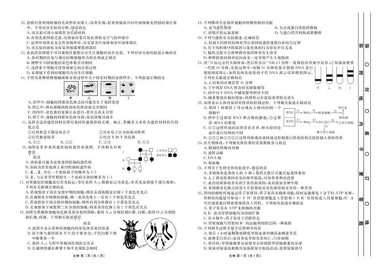 2020届河南省顶级名校高三上学期开学摸底考试生物试题 PDF版02