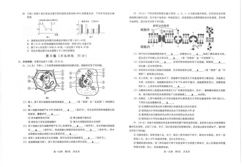 2020-2021学年江苏省常熟市高一下学期学生寒假自主学习调查生物试题 PDF版03