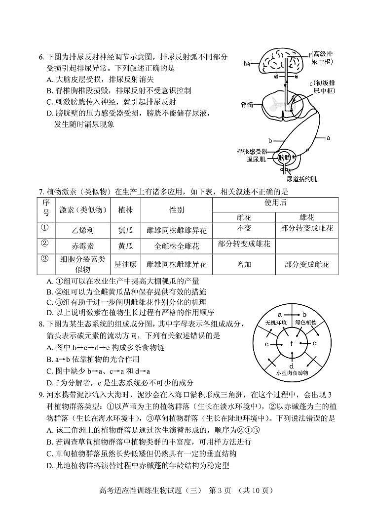 2021屆山東省泰安肥城市高三下學(xué)期高考適應(yīng)性訓(xùn)練（三）生物試題 PDF版第3頁