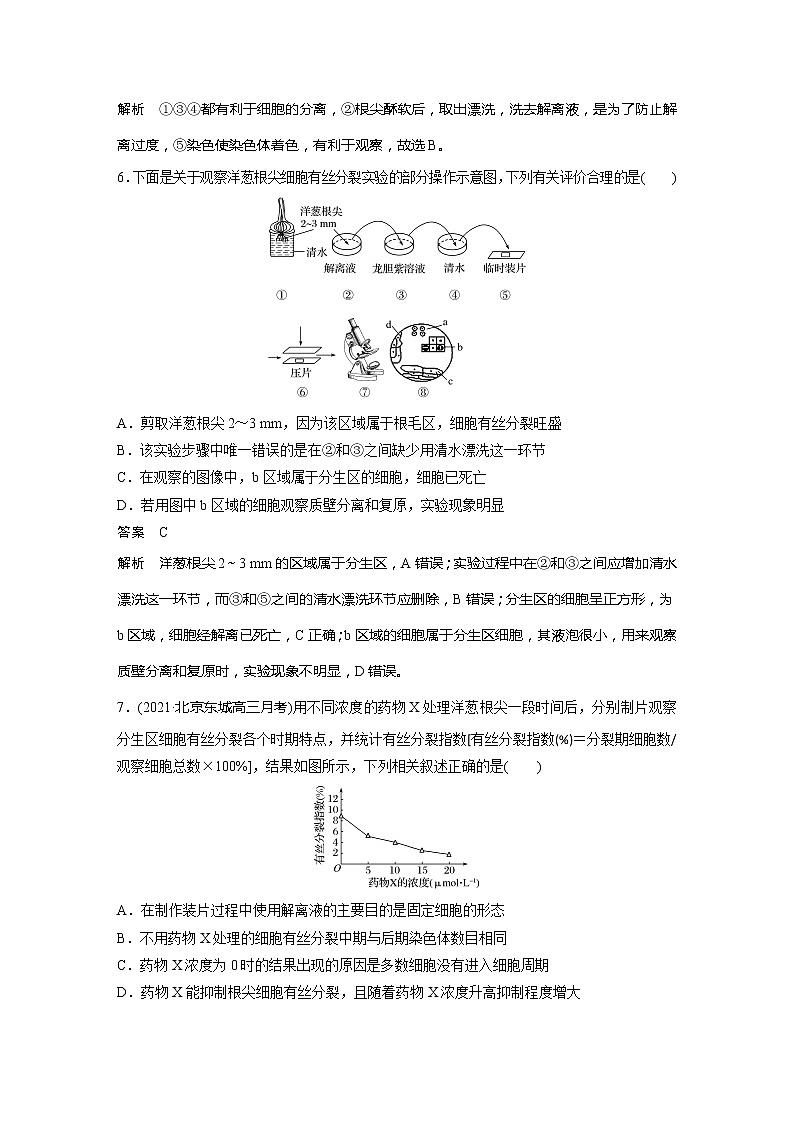 2022届高考生物一轮复习专题训练28 聚焦观察植物细胞有丝分裂的实验(解析版)第3页