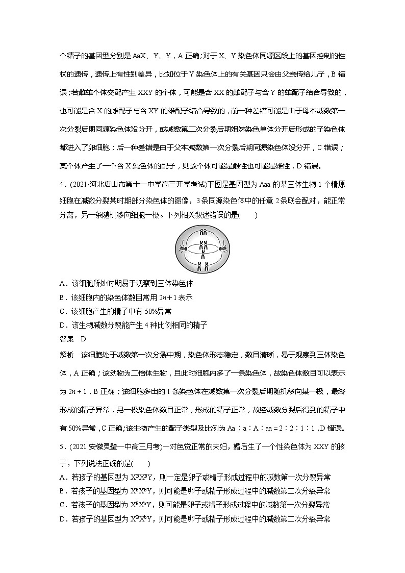 2022届高考生物一轮复习专题训练32 理解细胞分裂与变异的关系(解析版)第2页