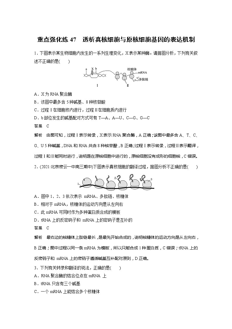 2022届高考生物一轮复习专题训练47 透析真核细胞与原核细胞基因的表达机制 (解析版)第1页