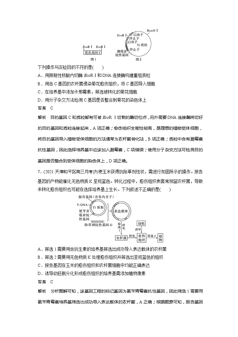 2022届高考生物一轮复习专题训练74 分析基因工程的工具、原理和应用(解析版)第3页