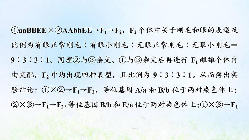 2022版新教材高考生物一轮复习第5单元遗传的基本规律与伴性遗传实验探究系列5遗传类实验的设计方案课件新人教版第7页