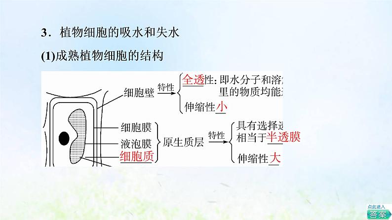 2022版新教材高考生物一轮复习第2单元细胞的基本结构与物质运输第6课细胞的物质输入和输出课件新人教版第7页