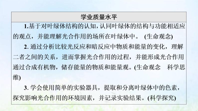 2022版新教材高考生物一轮复习第3单元细胞的能量供应和利用第9课光合作用与能量转化课件新人教版03