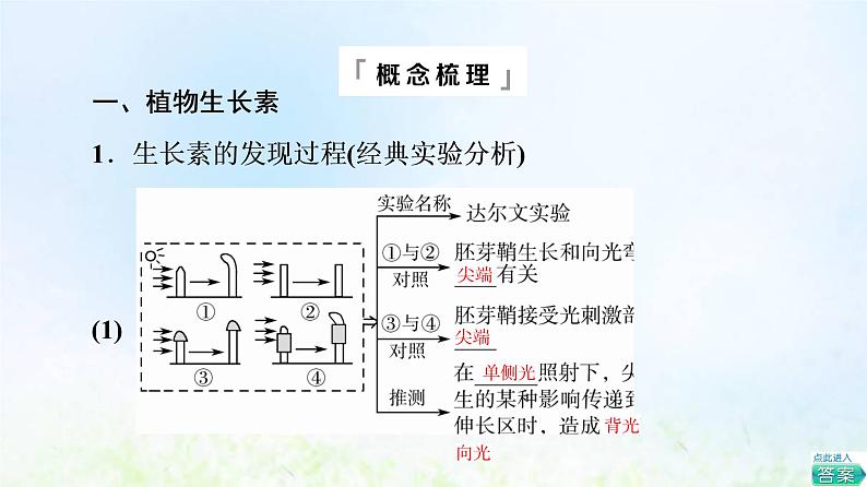 2022版新教材高考生物一轮复习第8单元生命活动的调节第26课植物生命活动的调节课件新人教版第6页