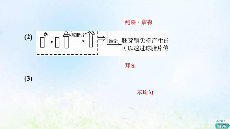 2022版新教材高考生物一轮复习第8单元生命活动的调节第26课植物生命活动的调节课件新人教版第7页