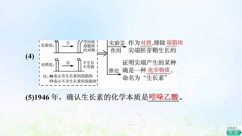 2022版新教材高考生物一轮复习第8单元生命活动的调节第26课植物生命活动的调节课件新人教版第8页