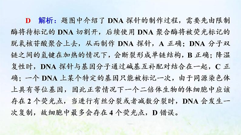 2022版新教材高考生物一轮复习第10单元生物技术与工程大概念升华课选择性必修概念5课件新人教版第6页