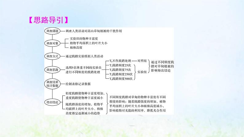 2022版新教材高考生物一轮复习第9单元生物与环境实验探究系列8调查类实验方案的设计与实施课件新人教版第7页