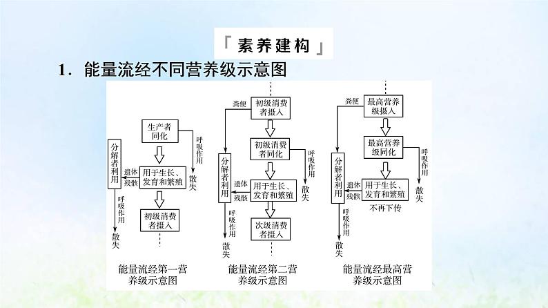 2022版新教材高考生物一轮复习第9单元生物与环境高频考点进阶课7生态系统结构与功能的综合考查课件新人教版第8页