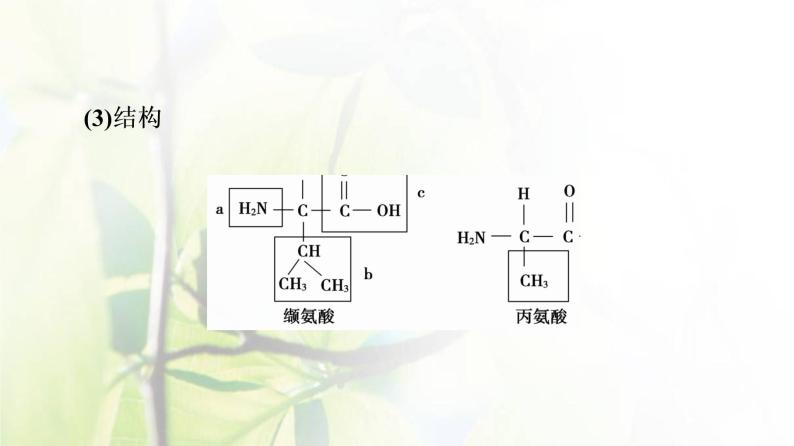 新教材高中生物第一章细胞的分子组成第3节第1课时细胞的功能主要由蛋白质完成课件苏教版必修105