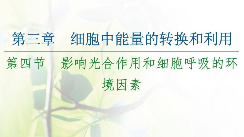 新教材高中生物第三章细胞中能量的转换和利用第4节影响光合作用和细胞呼吸的环境因素课件苏教版必修101