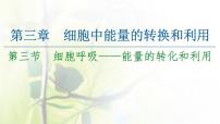 2020-2021学年第三节 细胞呼吸——能量的转化和利用示范课课件ppt