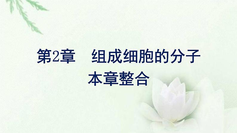 新教材高中生物第2章组成细胞的分子本章整合课件新人教版必修1第1页
