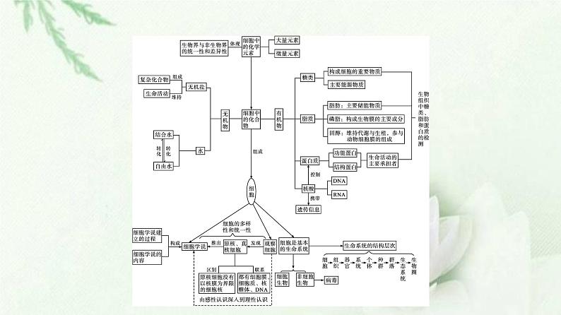 新教材高中生物第2章组成细胞的分子本章整合课件新人教版必修1第3页