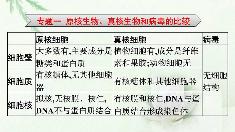 新教材高中生物第2章组成细胞的分子本章整合课件新人教版必修1第5页