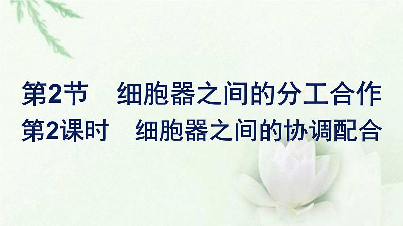 新教材高中生物第3章细胞的基本结构第2节第2课时细胞器之间的协调配合课件新人教版必修1第1页
