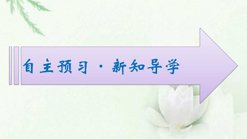 新教材高中生物第3章细胞的基本结构第2节第2课时细胞器之间的协调配合课件新人教版必修1第2页