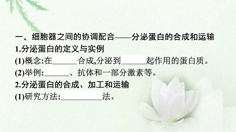 新教材高中生物第3章细胞的基本结构第2节第2课时细胞器之间的协调配合课件新人教版必修1第3页