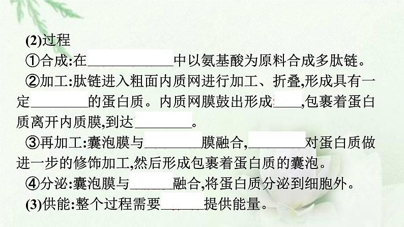 新教材高中生物第3章细胞的基本结构第2节第2课时细胞器之间的协调配合课件新人教版必修1第4页