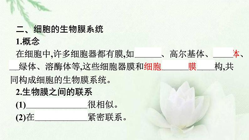 新教材高中生物第3章细胞的基本结构第2节第2课时细胞器之间的协调配合课件新人教版必修1第6页