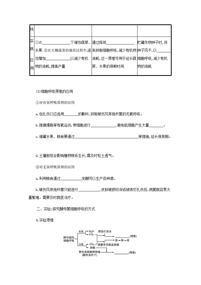 2022届高考生物一轮复习第3单元细胞的代谢第8讲第2课时细胞呼吸的影响因素及应用探究酵母菌细胞呼吸的方式学案新人教版第2页