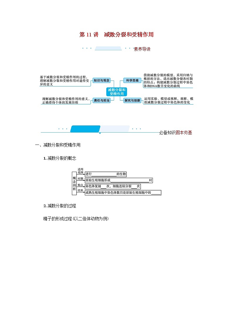 2022届高考生物一轮复习第4单元细胞的生命历程第11讲减数分裂和受精作用学案新人教版第1页