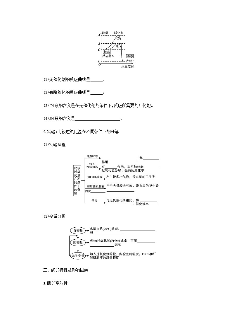 2022届高考生物一轮复习第3单元细胞的代谢第7讲降低化学反应活化能的酶学案新人教版第2页