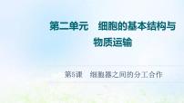 2022版新教材高考生物一輪復(fù)習(xí)第2單元細胞的基本結(jié)構(gòu)與物質(zhì)運輸?shù)?課細胞器之間的分工合作課件新人教版