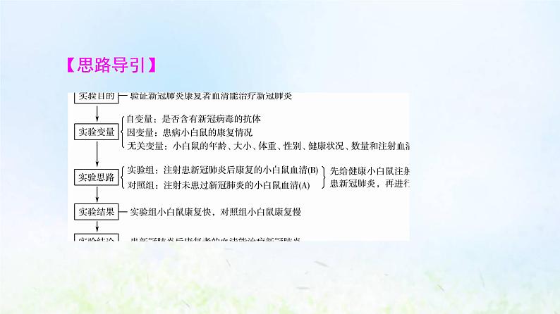 2022版新教材高考生物一轮复习第4单元细胞的生命历程实验探究系列4实验步骤的设计课件新人教版第5页