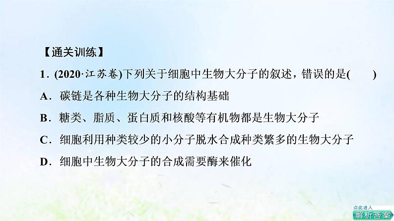 2022版新教材高考生物一轮复习第2单元细胞的基本结构与物质运输大概念升华课必修概念1课件新人教版第4页