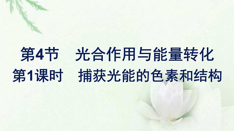 新教材高中生物第5章细胞的能量供应和利用第4节第1课时捕获光能的色素和结构课件新人教版必修1第1页
