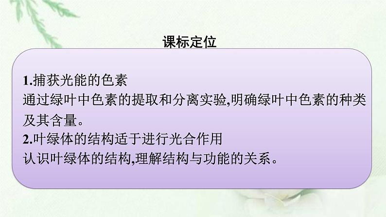 新教材高中生物第5章细胞的能量供应和利用第4节第1课时捕获光能的色素和结构课件新人教版必修1第2页