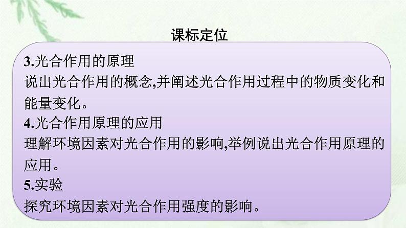 新教材高中生物第5章细胞的能量供应和利用第4节第1课时捕获光能的色素和结构课件新人教版必修1第3页