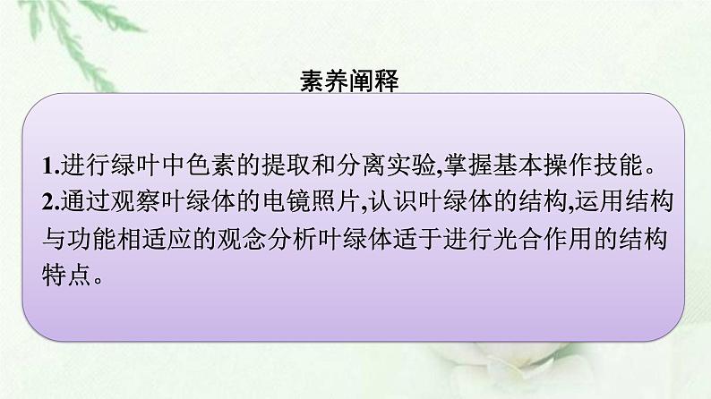 新教材高中生物第5章细胞的能量供应和利用第4节第1课时捕获光能的色素和结构课件新人教版必修1第4页