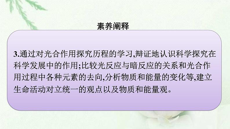 新教材高中生物第5章细胞的能量供应和利用第4节第1课时捕获光能的色素和结构课件新人教版必修1第5页