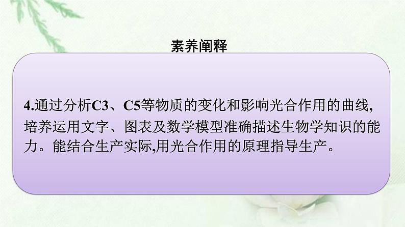 新教材高中生物第5章细胞的能量供应和利用第4节第1课时捕获光能的色素和结构课件新人教版必修1第6页