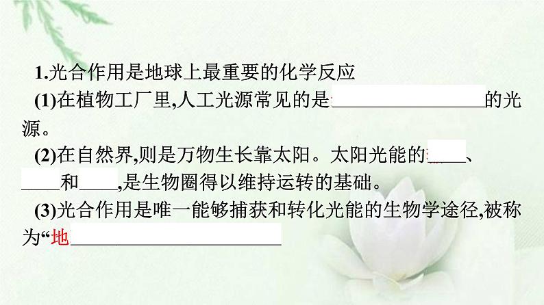 新教材高中生物第5章细胞的能量供应和利用第4节第1课时捕获光能的色素和结构课件新人教版必修1第8页