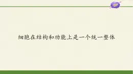 细胞在结构和功能上是一个统一整体PPT课件免费下载