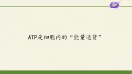 ATP是细胞内的“能量通货”PPT课件免费下载