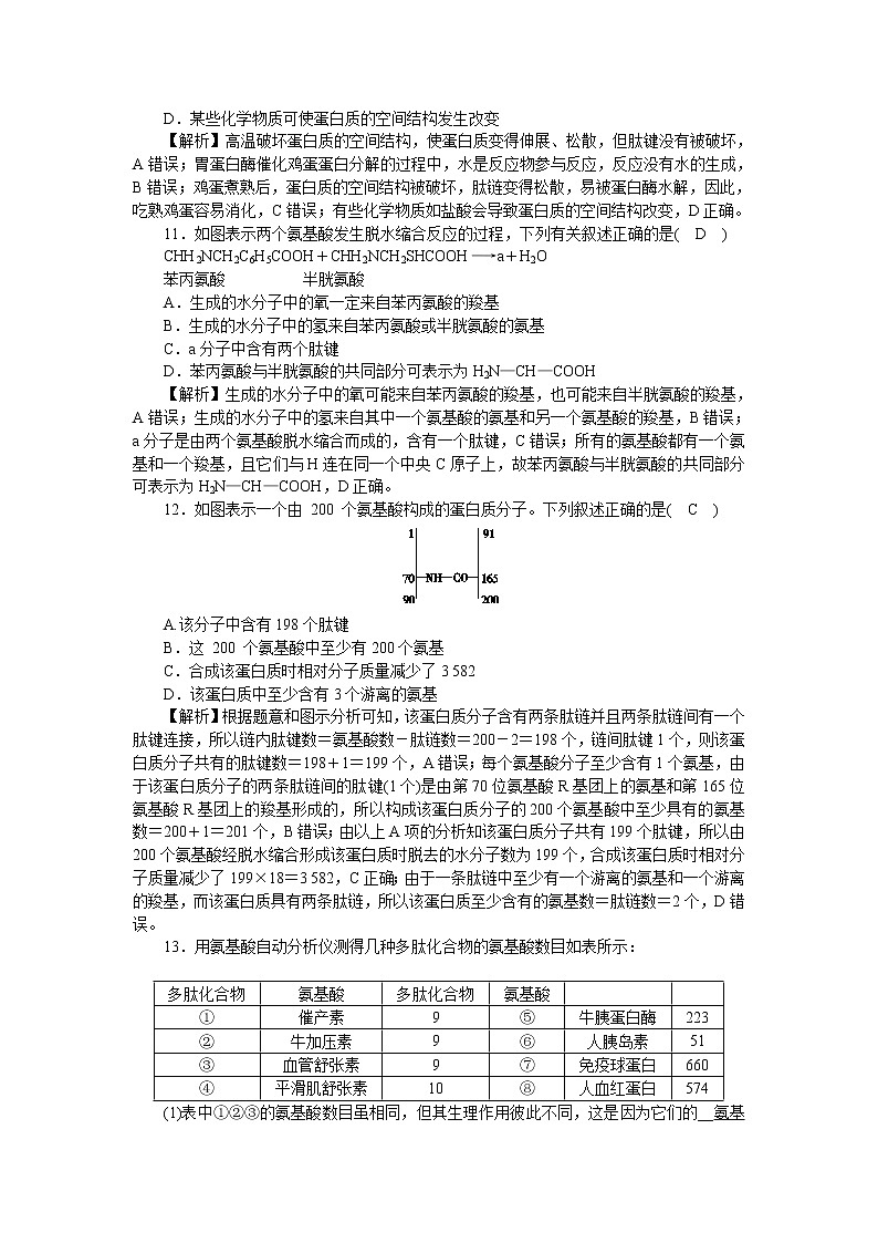 2021-2022学年高一生物浙科版必修第一册作业+3+蛋白质和核酸+Word版含解析 练习03