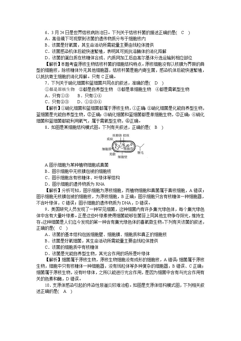 2021-2022学年高一生物浙科版必修第一册作业+11+原核细胞内无成形的细胞核+Word版含解析第2页