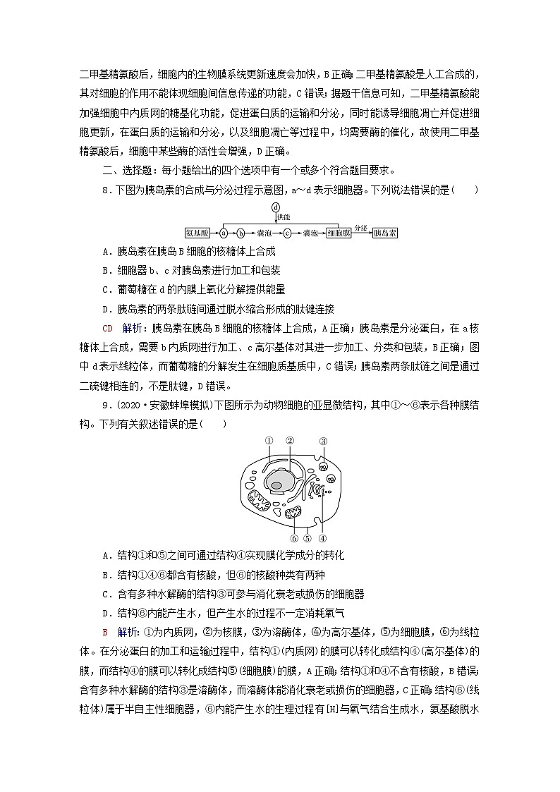 2022版高考生物一轮复习课时评价5细胞器之间的分工合作含解析新人教版第3页